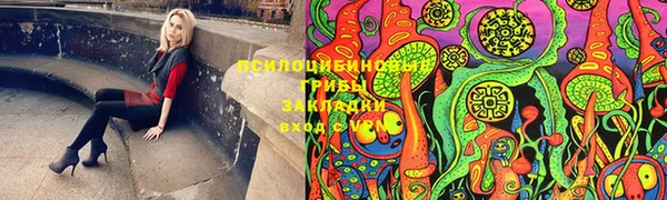 соль ск Алексеевка