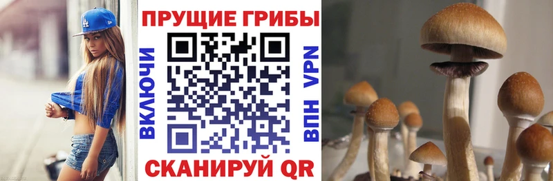 где купить   Неман  Псилоцибиновые грибы прущие грибы 